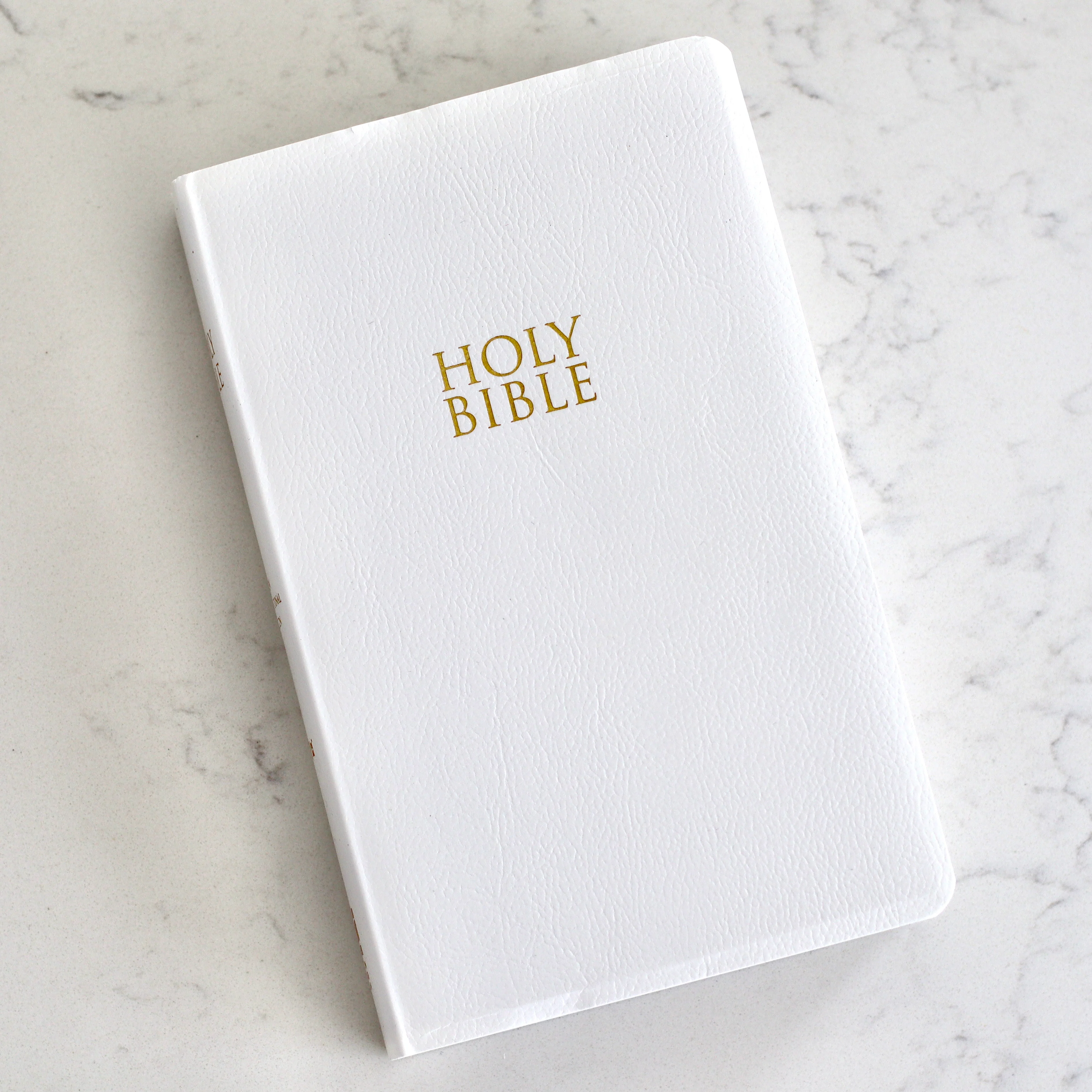 Personalised Catholic Bible (NIV)